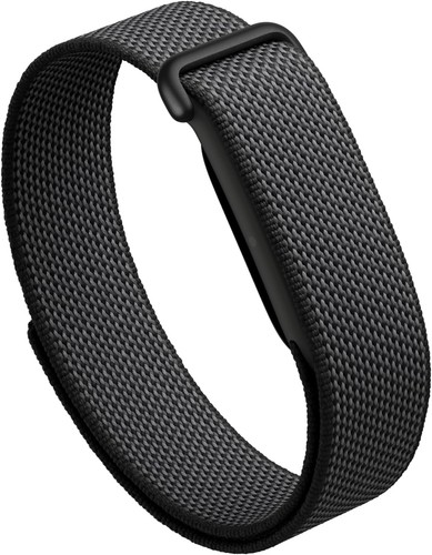 Google fitbit air - google,